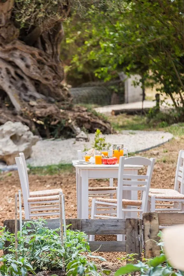 The Olive Tree Cottage Argostoli